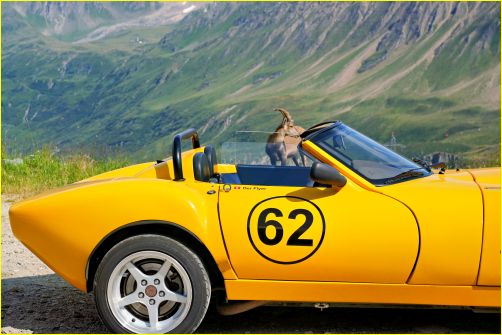 Ginetta G34